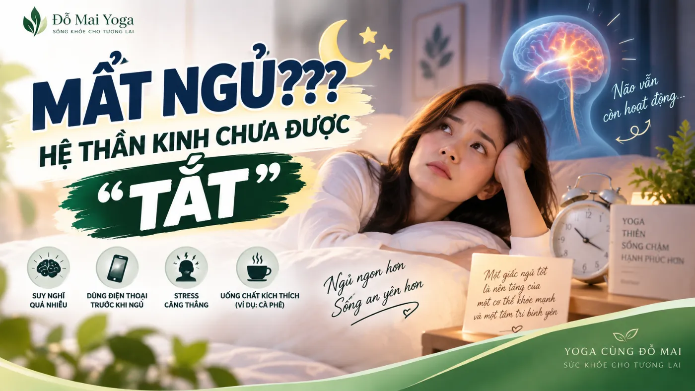 Mất ngủ ??? hệ thần kinh chưa được "tắt"